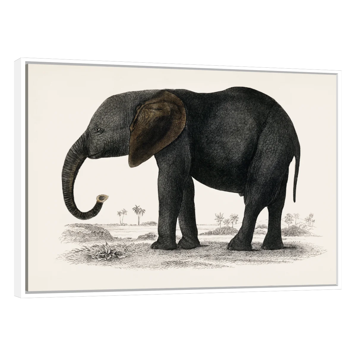 Historia De La Tierra Y La Naturaleza Animada Por Oliver Goldsmith