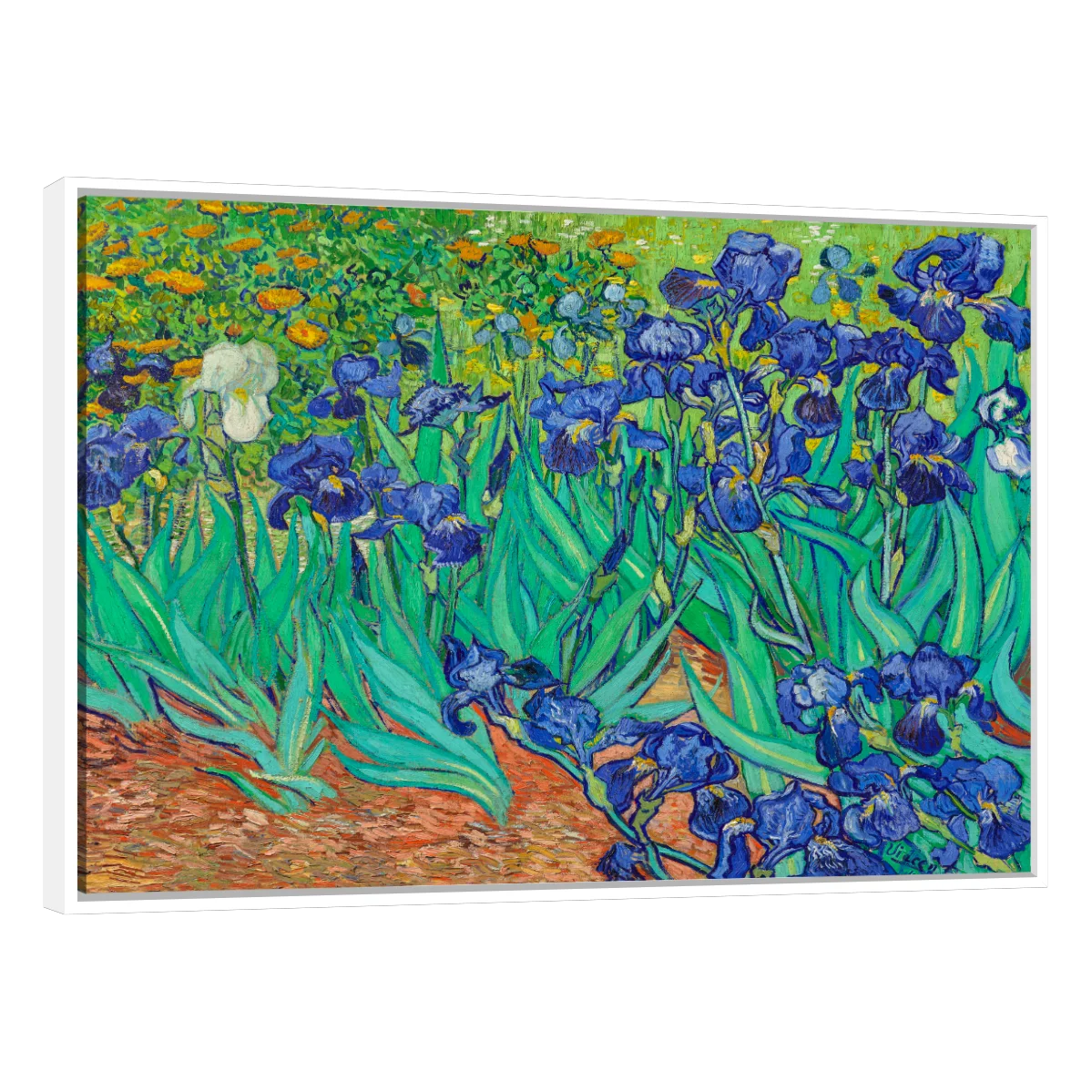 Arte Lirios Por Vincent Van Gogh