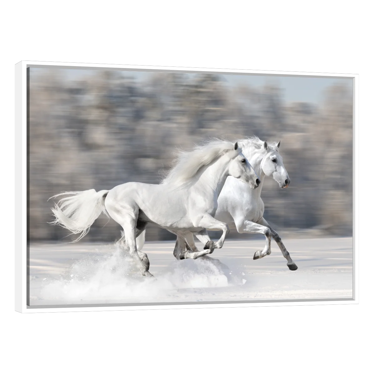 Caballos Blancos Corriendo