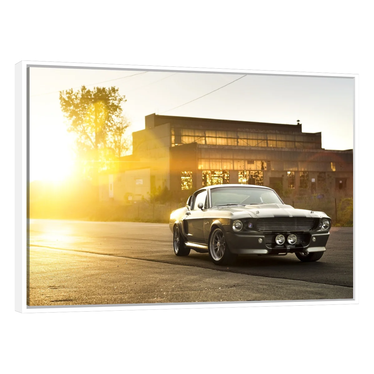 Mustang GT500 Aterdecer