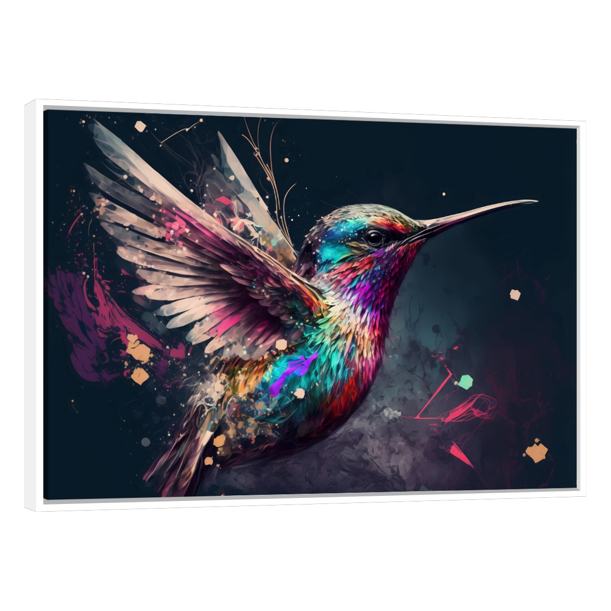 Colibri Colorido