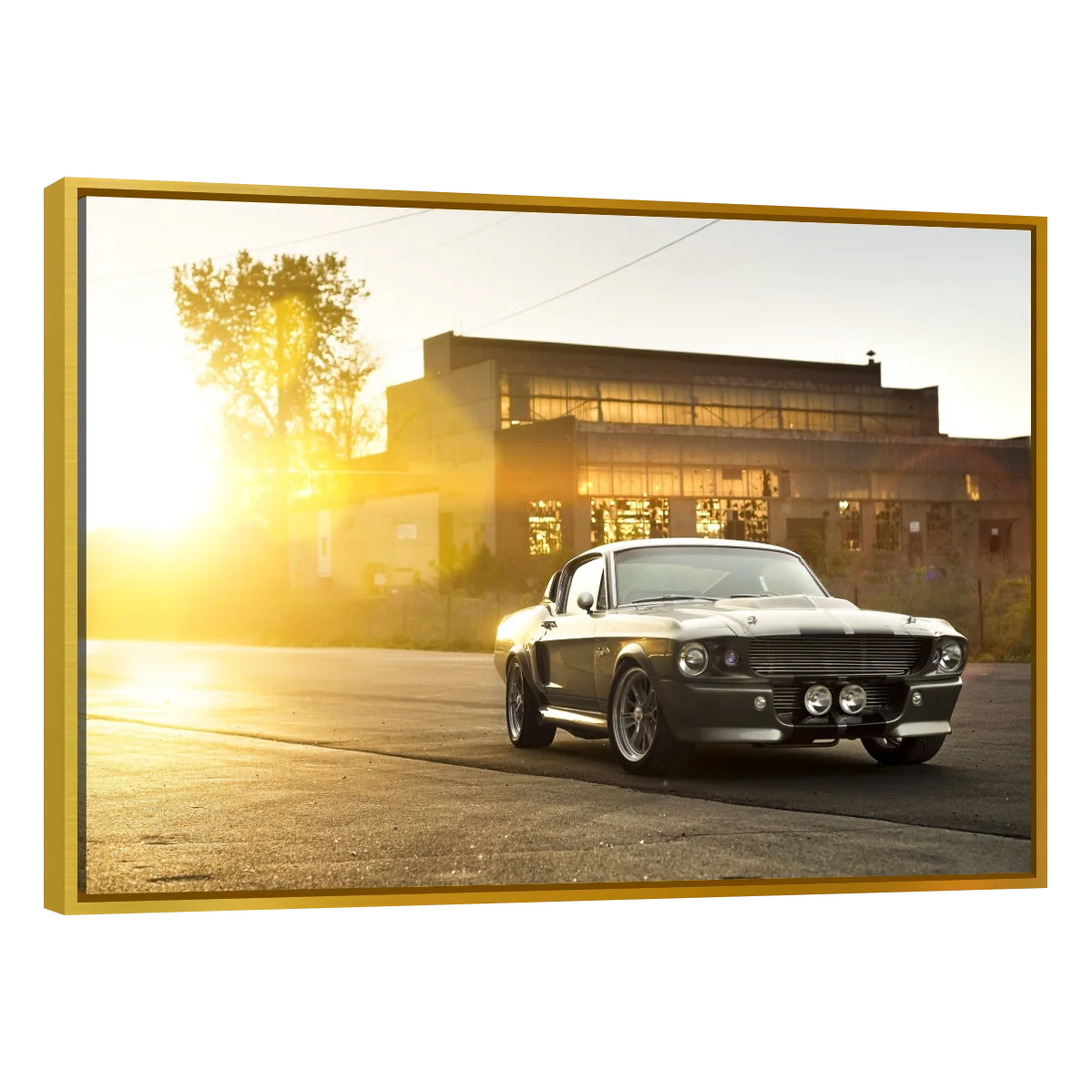 Mustang GT500 Aterdecer