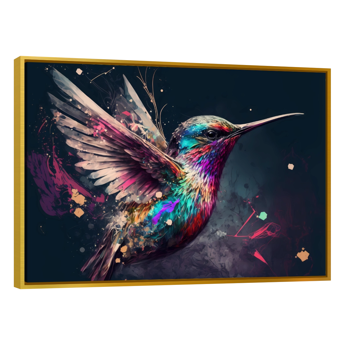 Colibri Colorido