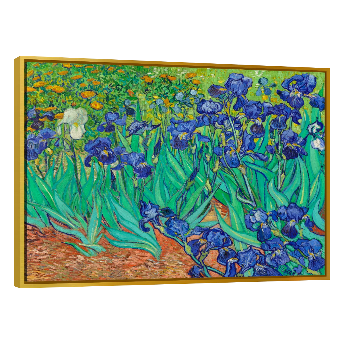 Arte Lirios Por Vincent Van Gogh