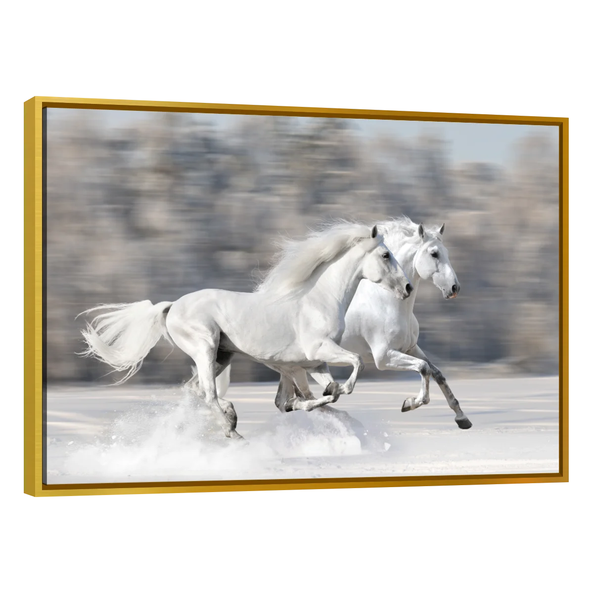 Caballos Blancos Corriendo