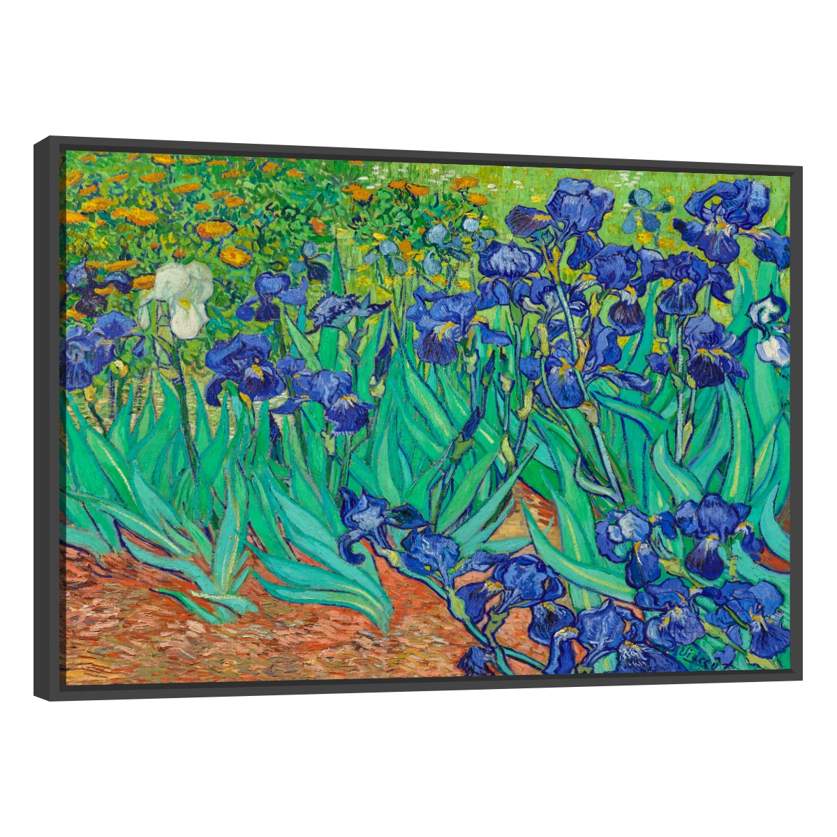 Arte Lirios Por Vincent Van Gogh
