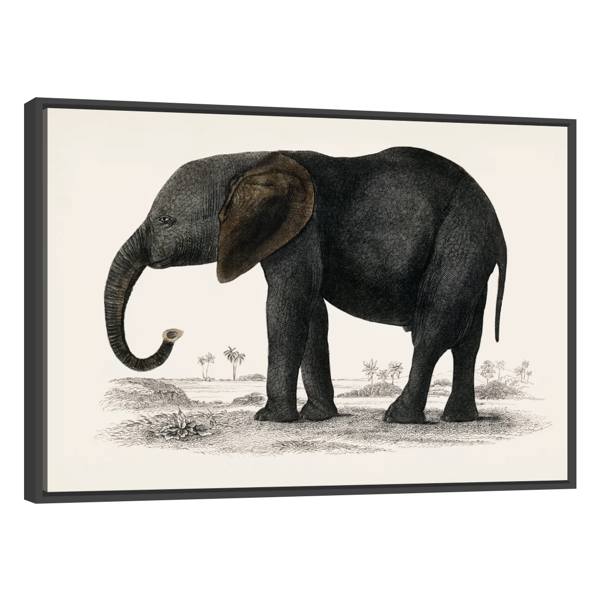 Historia De La Tierra Y La Naturaleza Animada Por Oliver Goldsmith