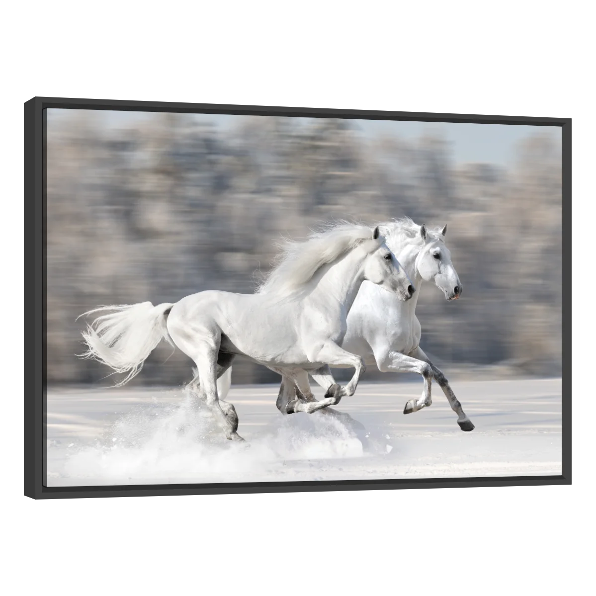 Caballos Blancos Corriendo