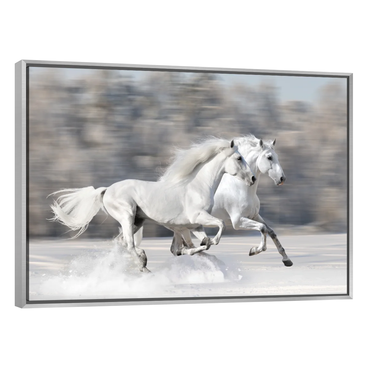 Caballos Blancos Corriendo