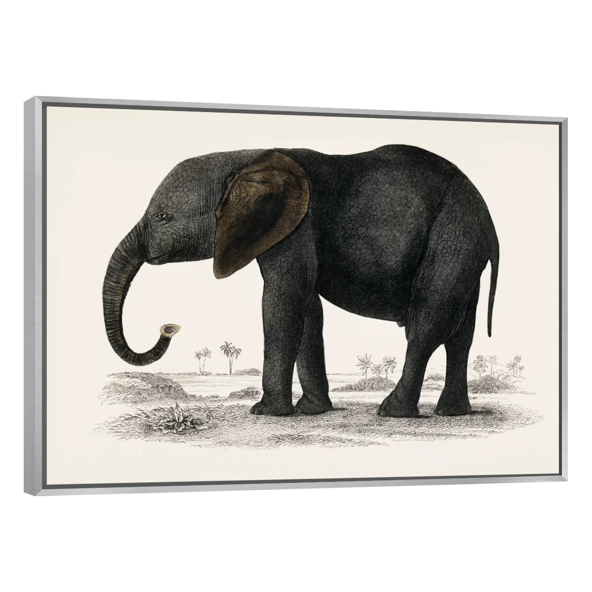 Historia De La Tierra Y La Naturaleza Animada Por Oliver Goldsmith
