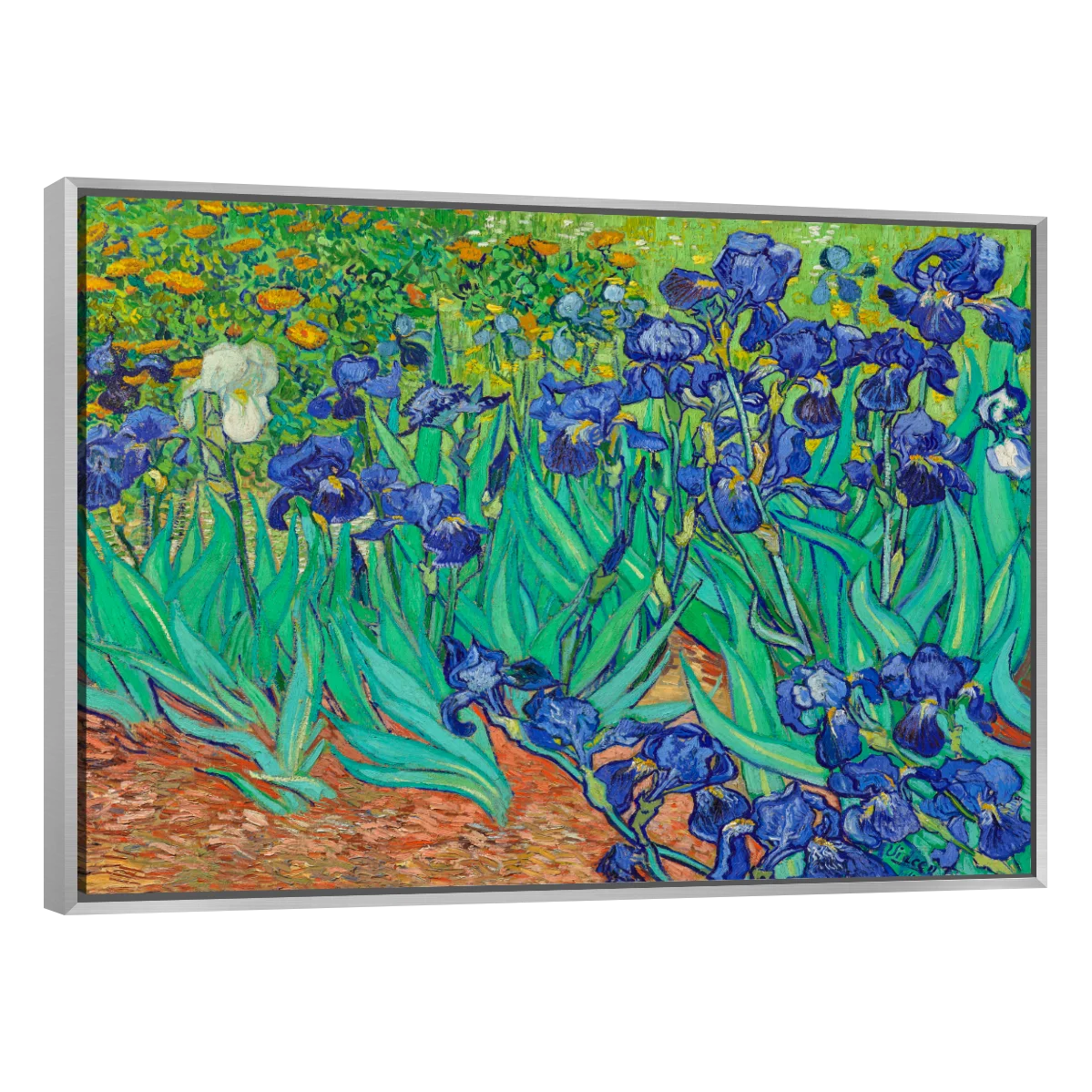 Arte Lirios Por Vincent Van Gogh