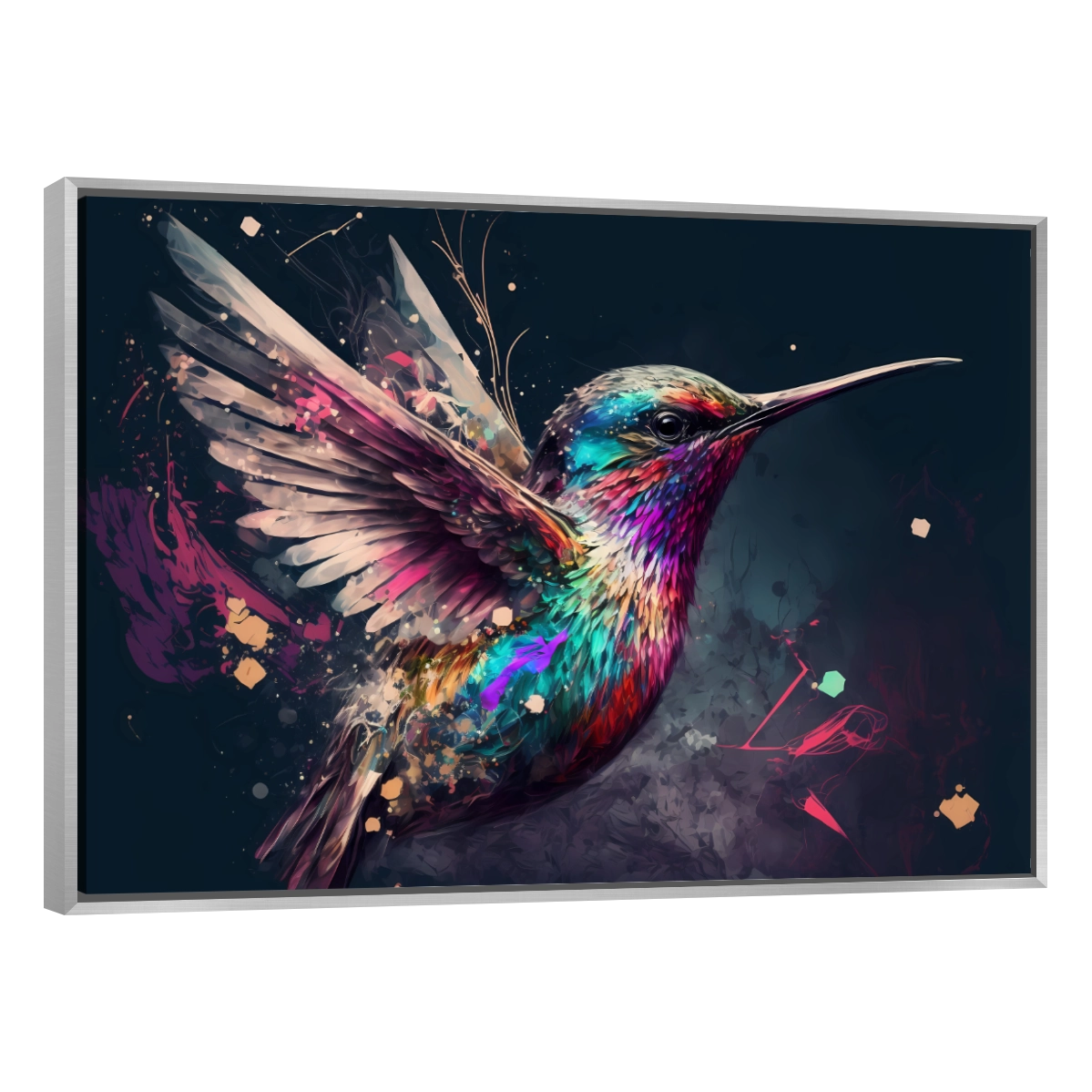 Colibri Colorido