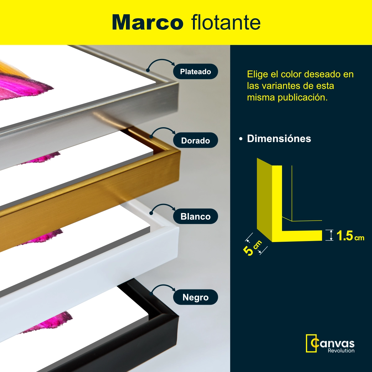 Brochazo de Colores