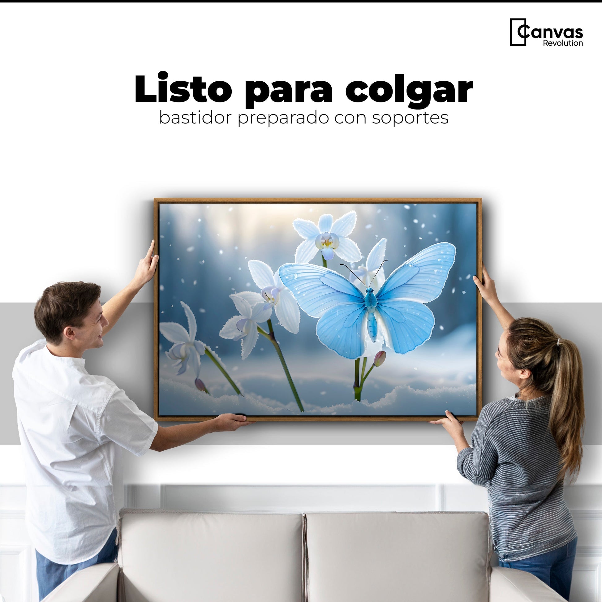 Cuadros Decorativos Canvas Revolution | Alas En Hielo | Colgar