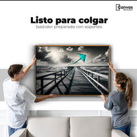 Cuadros Decorativos Canvas Revolution | Aventura En Viento | Colgar