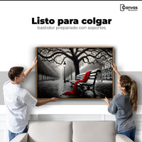 Cuadros Decorativos Canvas Revolution | Banca De Pasion | Colgar