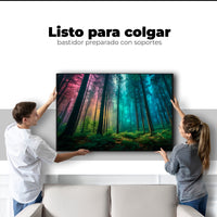 Cuadros Decorativos Canvas Revolution | Bosque Cromatico | Colgar