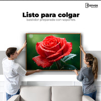 Cuadros Decorativos Canvas Revolution | Brillo Rosa Luz | Colgar