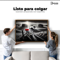 Cuadros Decorativos Canvas Revolution | Buzon En La Pradera | Colgar