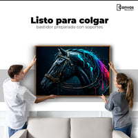 Cuadros Decorativos Canvas Revolution | Caballo Cosmico | Colgar