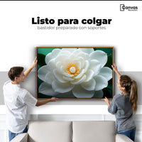 Cuadros Decorativos Canvas Revolution | Camelia Eterna Flor | Colgar