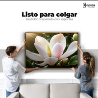 Cuadros Decorativos Canvas Revolution | Canto De Magnolia | Colgar