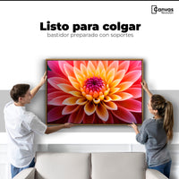 Cuadros Decorativos Canvas Revolution | Dahlia Vibrante | Colgar