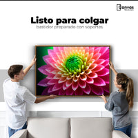 Cuadros Decorativos Canvas Revolution | Dalia Brillo Vivo | Colgar