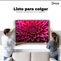 Cuadros Decorativos Canvas Revolution | Dalia Magenta Flor | Colgar