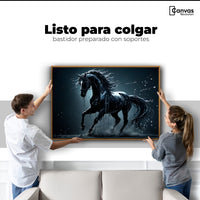 Cuadros Decorativos Canvas Revolution | Elegancia Nocturna | Colgar