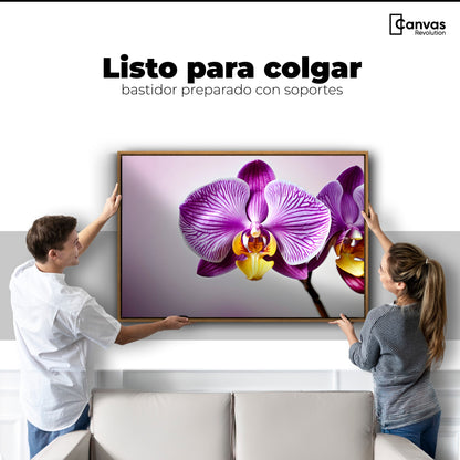 Cuadros Decorativos Canvas Revolution | Esencia Violeta | Colgar