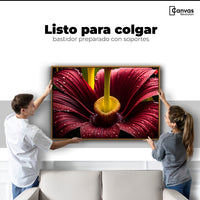 Cuadros Decorativos Canvas Revolution | Eterna Flor Extrana | Colgar
