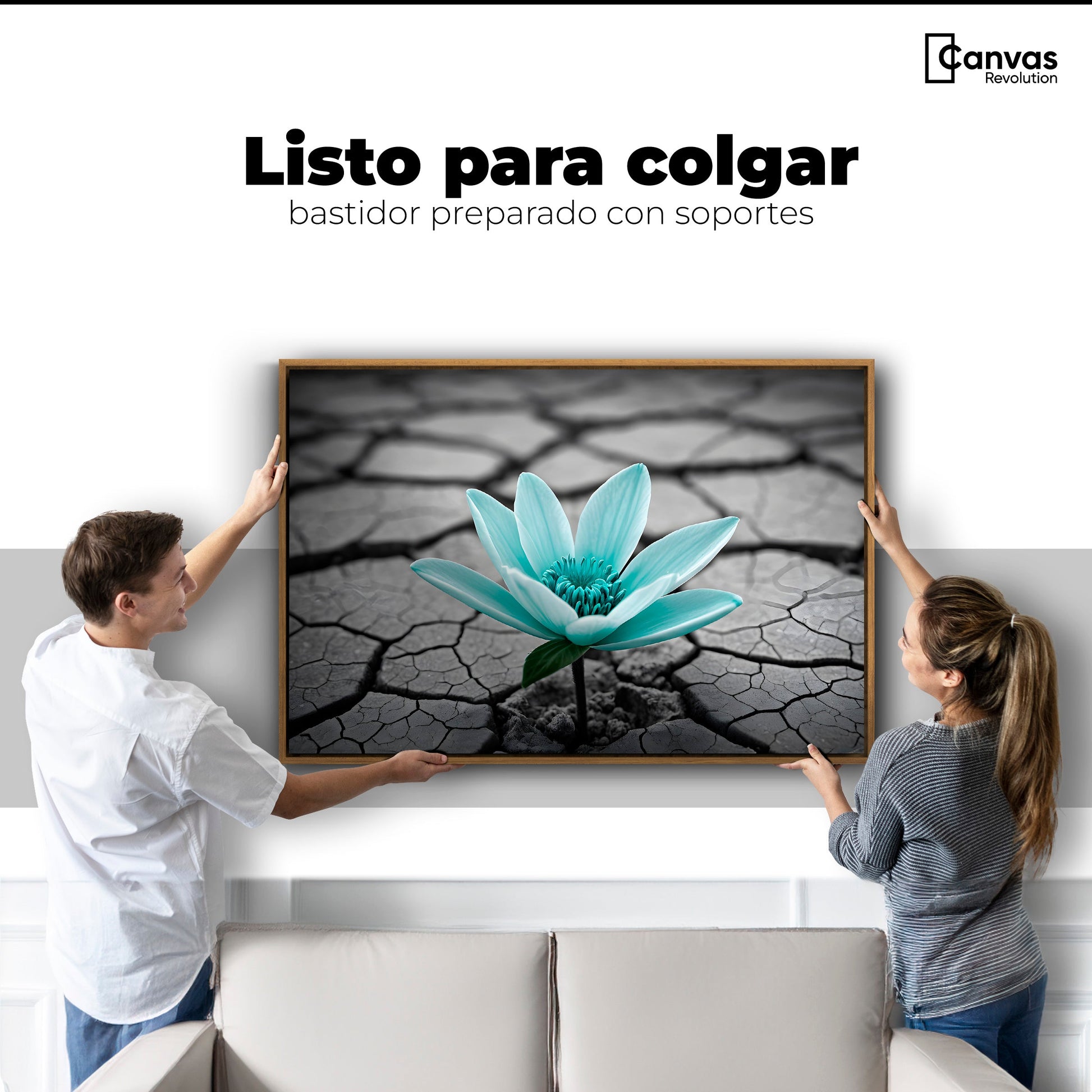 Cuadros Decorativos Canvas Revolution | Flor Sobre Piedra | Colgar