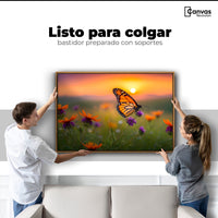Cuadros Decorativos Canvas Revolution | Flores Del Alba | Colgar