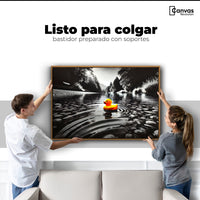Cuadros Decorativos Canvas Revolution | Flotando Solo | Colgar