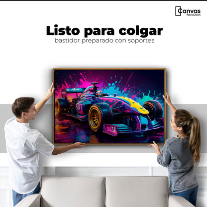 Cuadros Decorativos Canvas Revolution | Furia Multicolor | Colgar