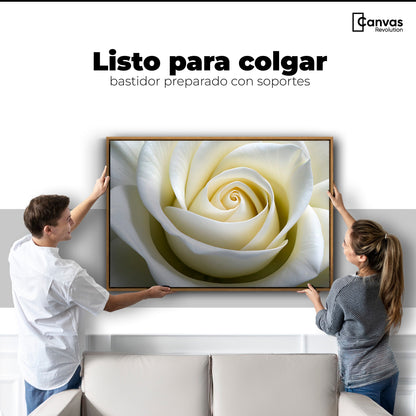 Cuadros Decorativos Canvas Revolution | Gardenia Divina | Colgar