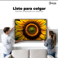 Cuadros Decorativos Canvas Revolution | Girasol Cercano | Colgar