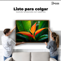 Cuadros Decorativos Canvas Revolution | Heliconia Pura Vida | Colgar