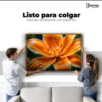 Cuadros Decorativos Canvas Revolution | Lirio Fuego Salvaje | Colgar