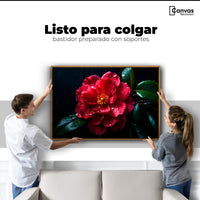 Cuadros Decorativos Canvas Revolution | Magia De Camelia | Colgar