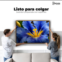 Cuadros Decorativos Canvas Revolution | Magia Flor Iris | Colgar