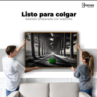Cuadros Decorativos Canvas Revolution | Maleta Solitaria | Colgar