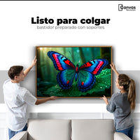 Cuadros Decorativos Canvas Revolution | Mariposa De Selva | Colgar