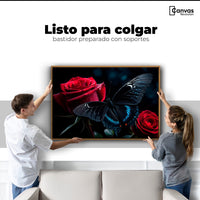 Cuadros Decorativos Canvas Revolution | Mariposa Nocturna | Colgar