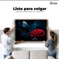 Cuadros Decorativos Canvas Revolution | Mariposa Y Rosa | Colgar