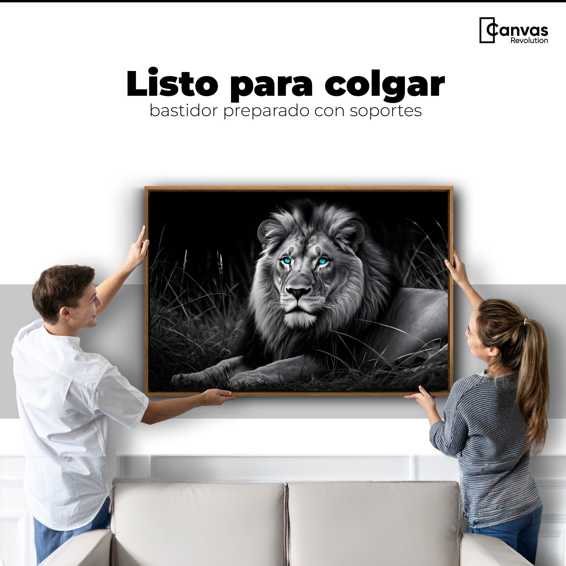 Cuadros Decorativos Canvas Revolution | Mirada Real | Colgar