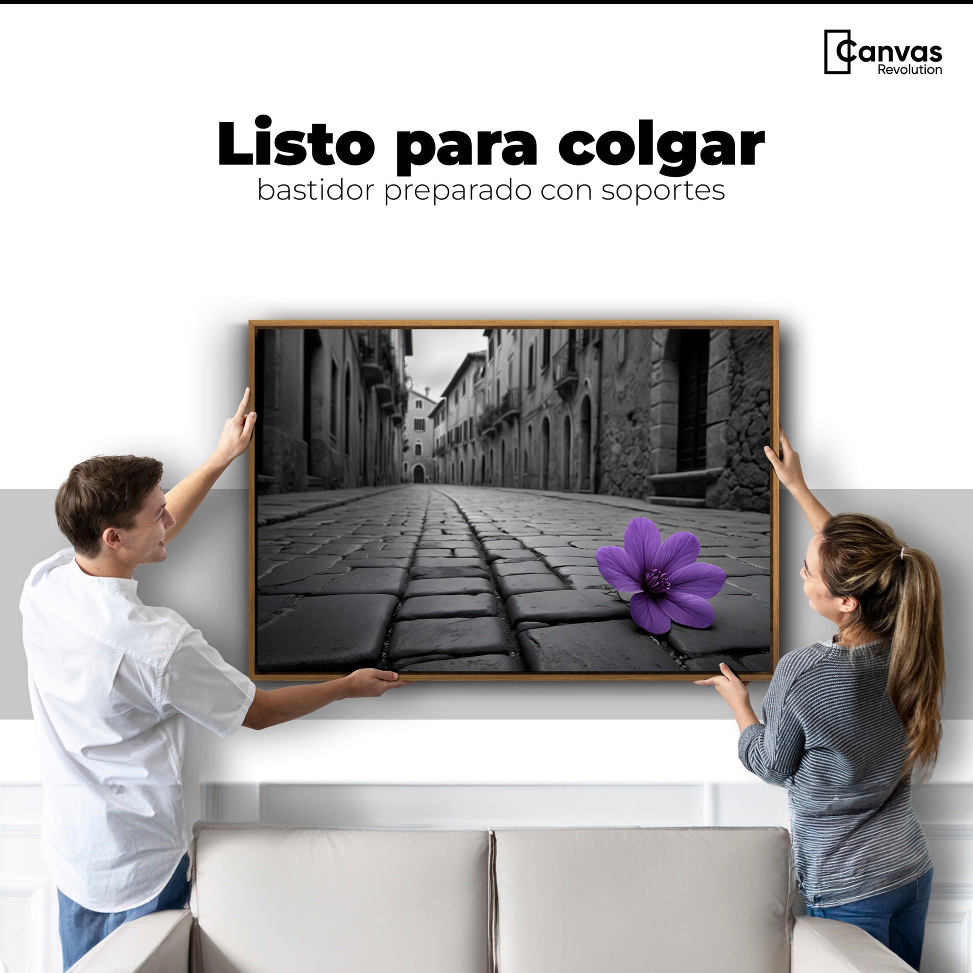 Cuadros Decorativos Canvas Revolution | Morado Callejero | Colgar