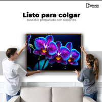 Cuadros Decorativos Canvas Revolution | Orquidea Destello | Colgar