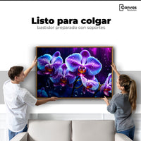 Cuadros Decorativos Canvas Revolution | Orquidea Luz Sutil | Colgar